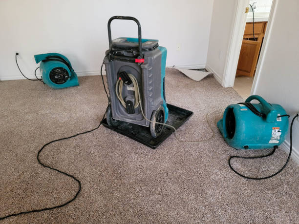  Brookside, NJ Water damage restoration Pros