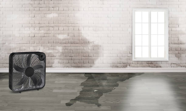 Best Commercial water damage restoration  in Brookside, NJ