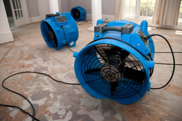 Best Residential water damage restoration  in Brookside, NJ