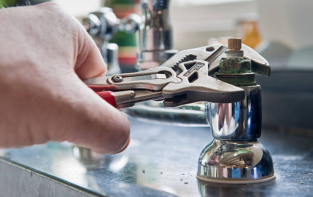 Best Professional water damage repair  in Brookside, NJ