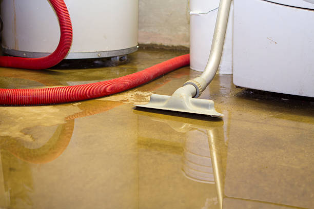 Best Mold removal after water damage  in Brookside, NJ