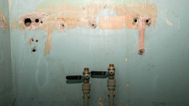 Best Water damage contractors near me  in Brookside, NJ