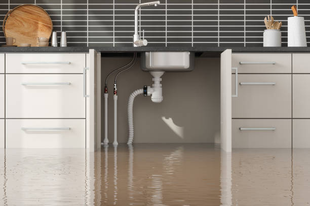 Best Flood restoration services  in Brookside, NJ